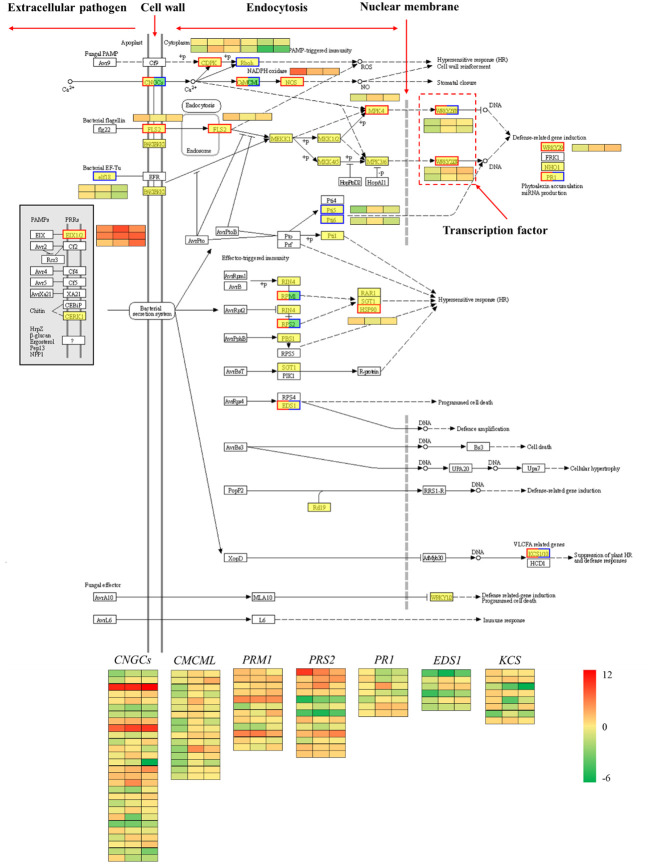 Figure 10
