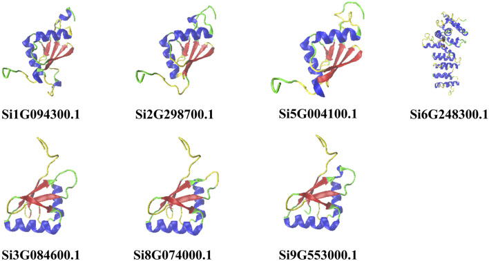 FIGURE 1