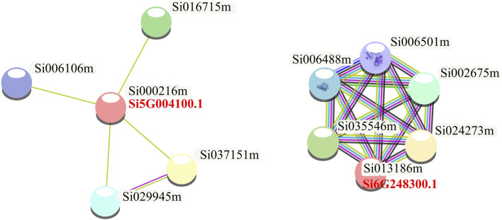 FIGURE 4