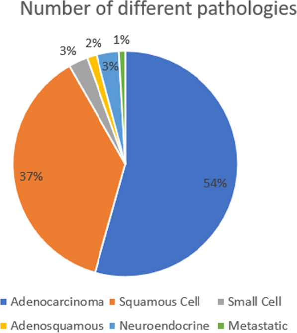 Figure 42