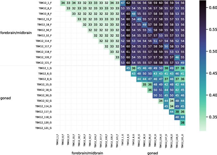 Figure 18