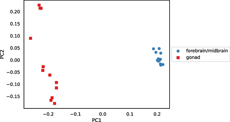 Figure 19