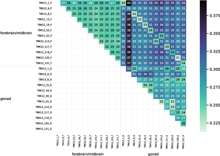 Figure 20
