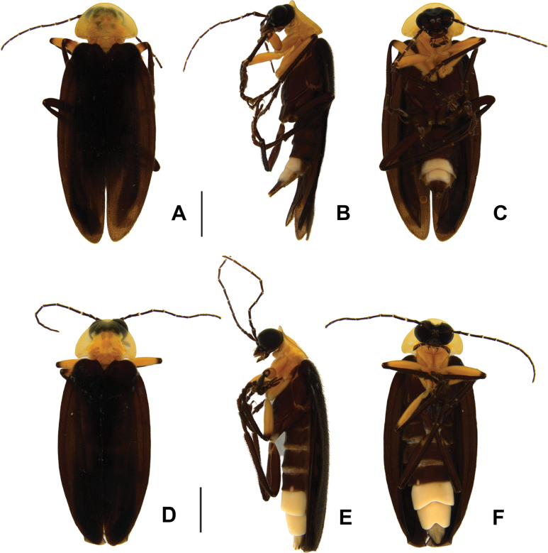 Figure 5