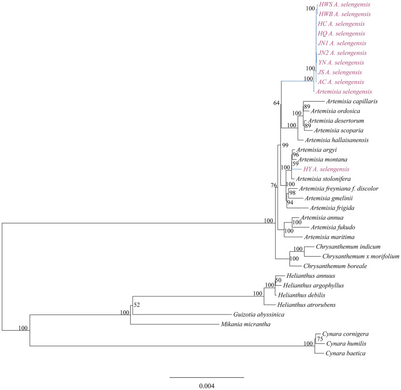 Figure 12