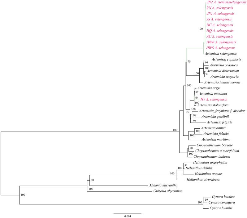 Figure 13