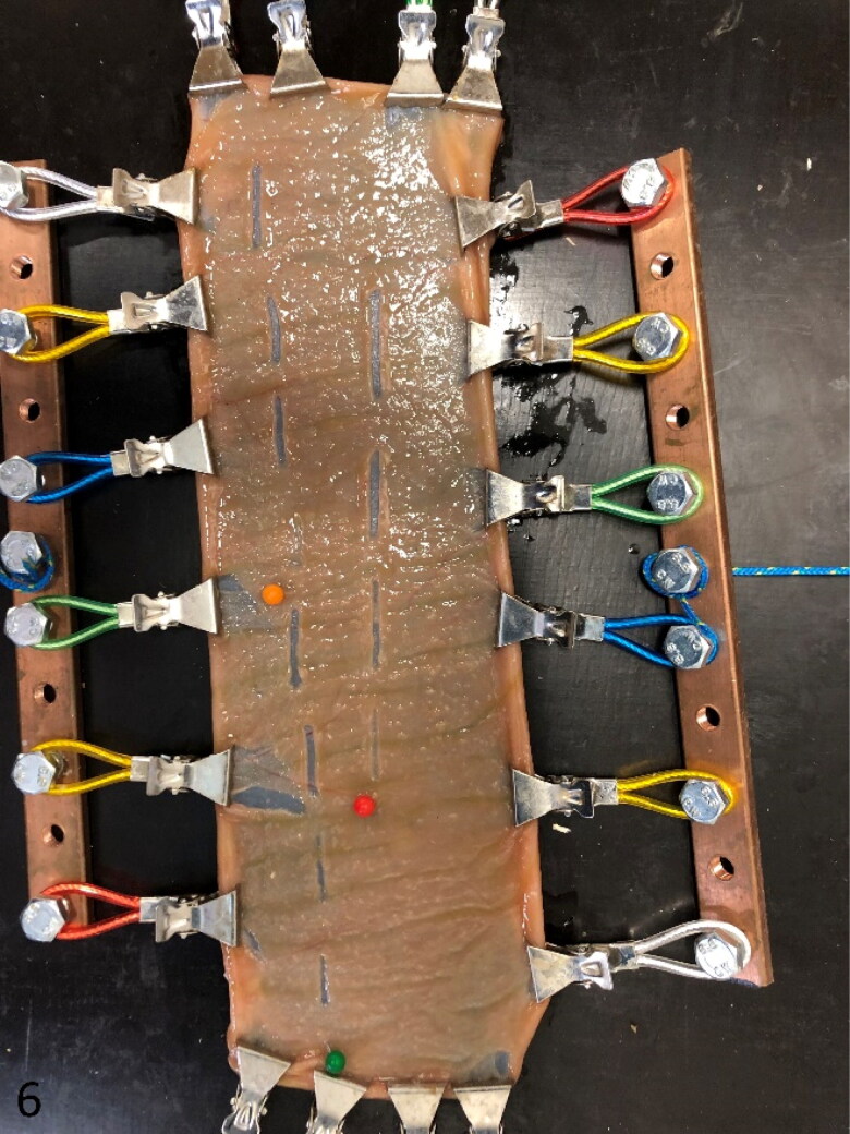 Figure 6