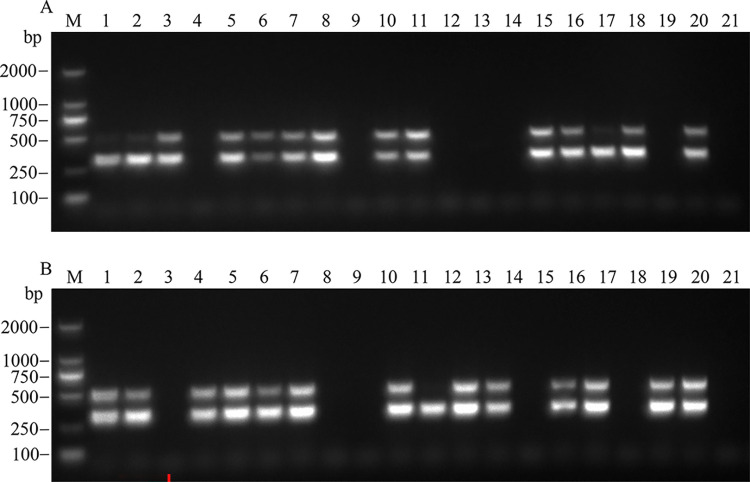 Fig 6