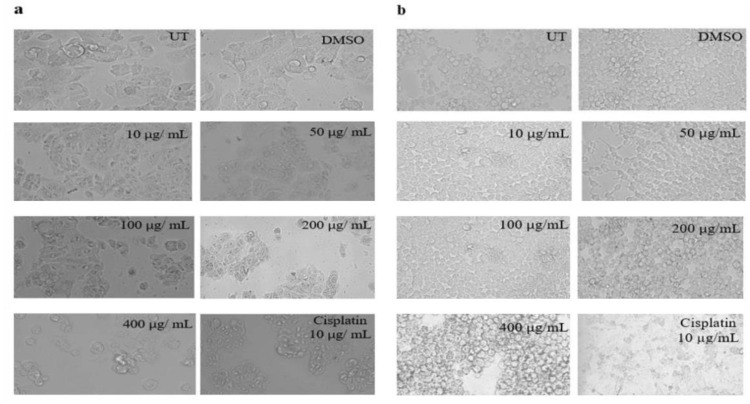 Fig 10