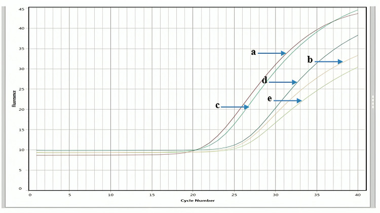 Fig 11