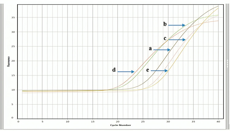 Fig 12