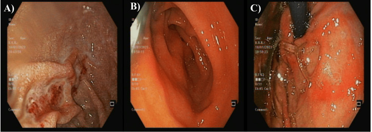 Figure 6