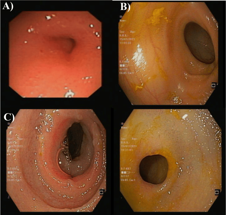 Figure 7