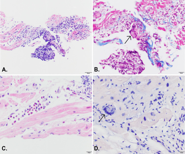Figure 4