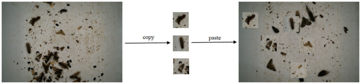 Figure 18
