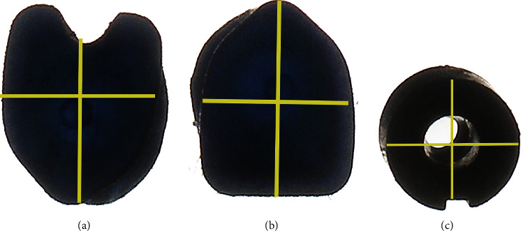 Figure 6