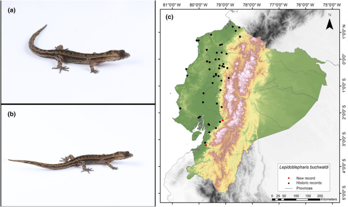 Figure 12