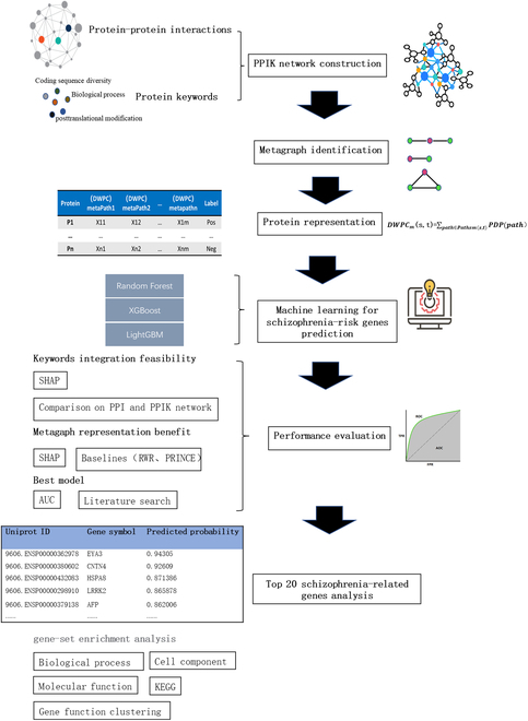 Figure 24