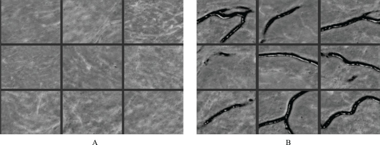Figure 28