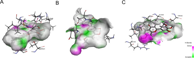 Figure 7