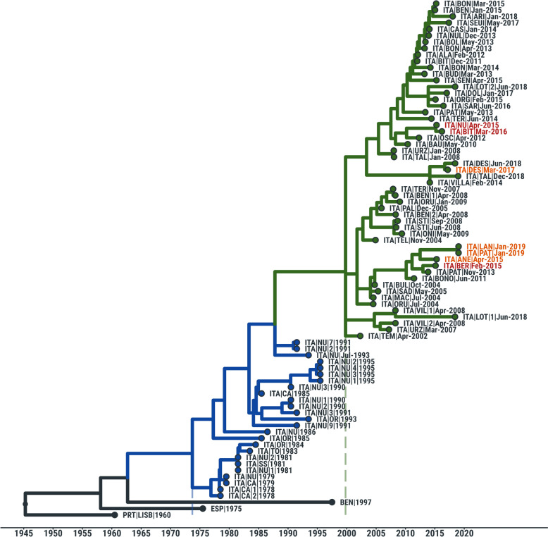 Figure 6