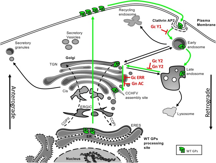 Figure 15