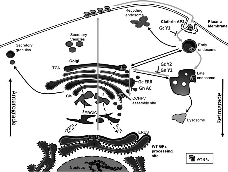 Figure 16