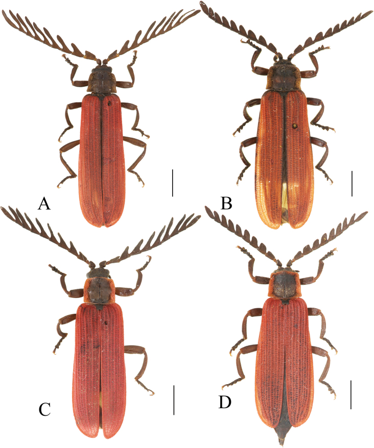 Figure 7