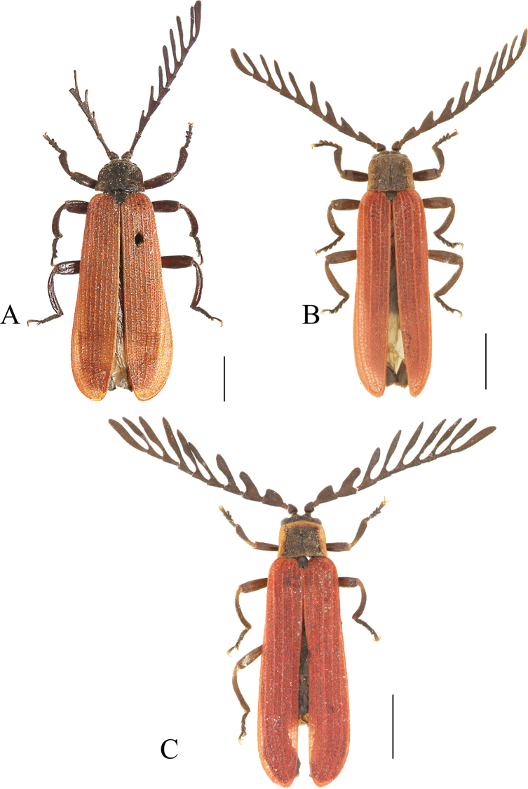 Figure 10