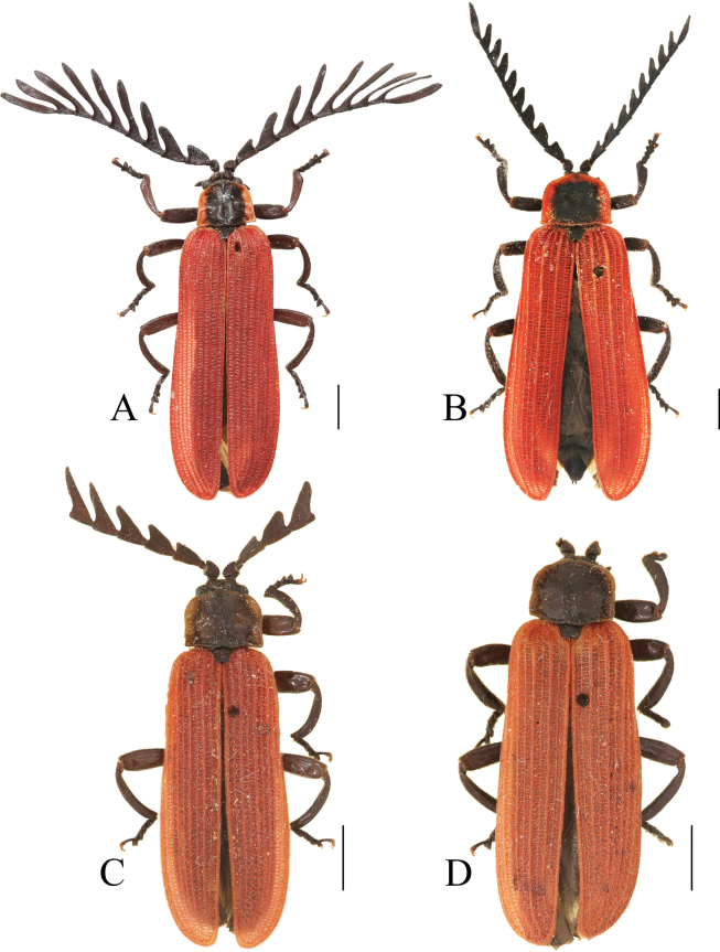 Figure 12