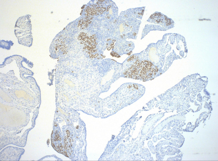 Figure 9
