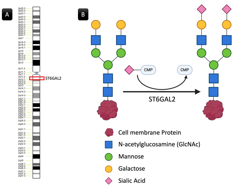 Figure 10