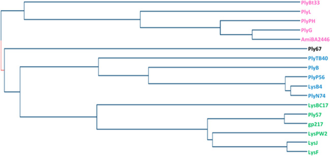 Figure 2