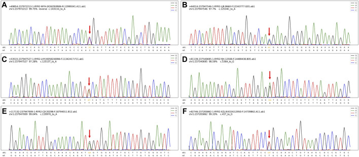 FIGURE 4