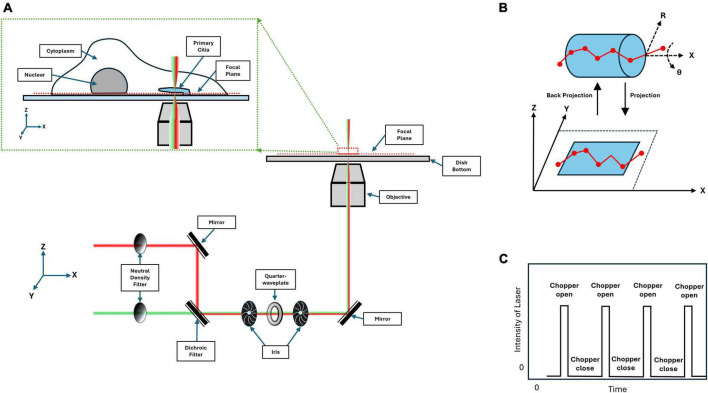 FIGURE 2