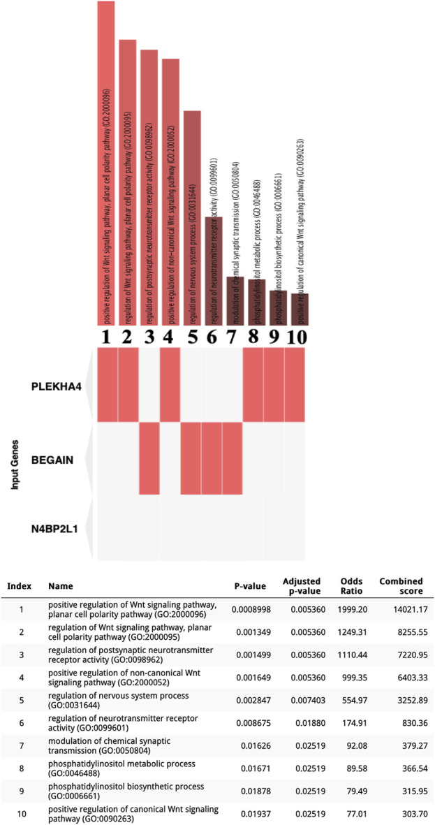 FIGURE 2