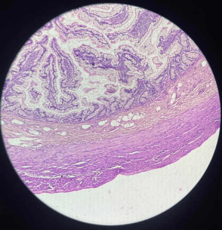 Figure 8