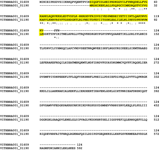 Fig 8