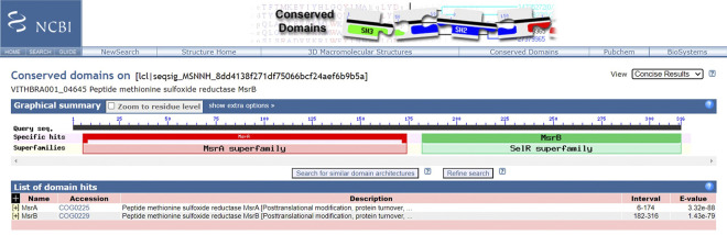 Fig 10