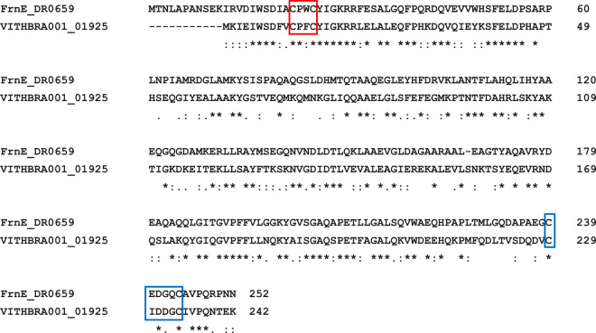 Fig 12