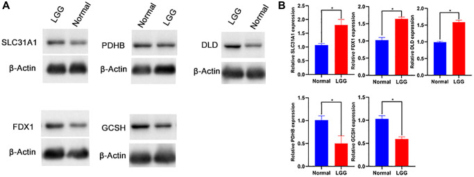 Figure 12