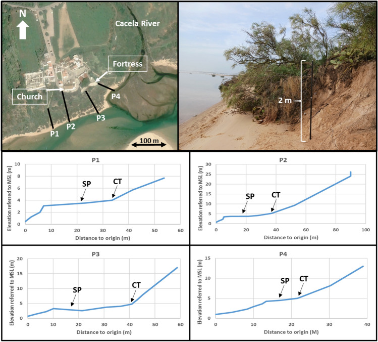 Figure 6