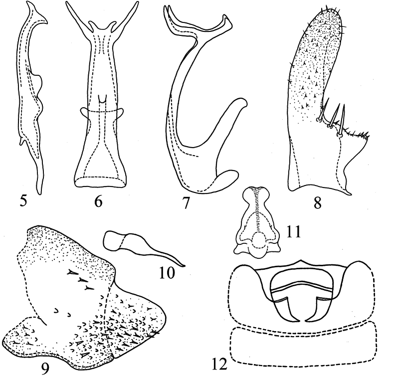 Figures 5–12
