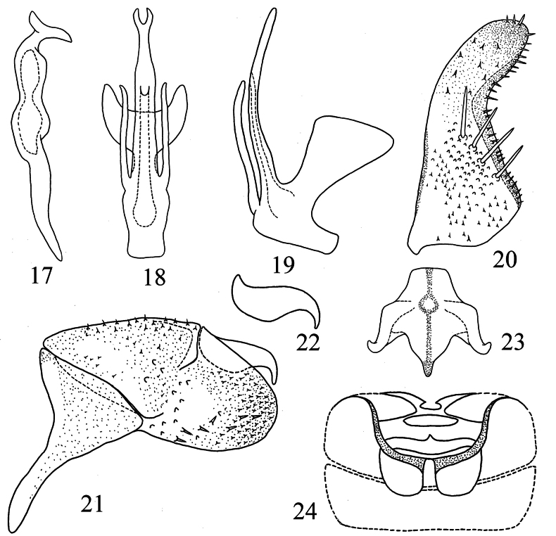 Figures 17–24