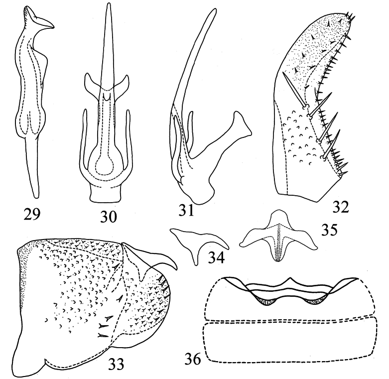 Figures 29–36