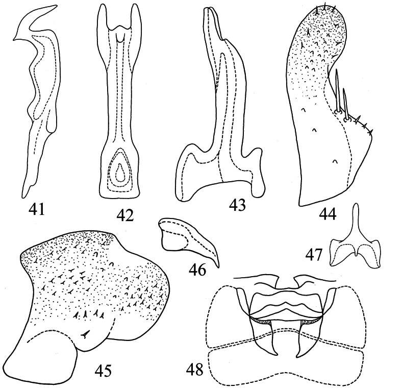 Figures 41–48
