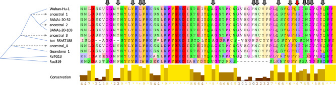 Figure 5