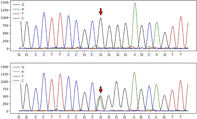 FIGURE 2
