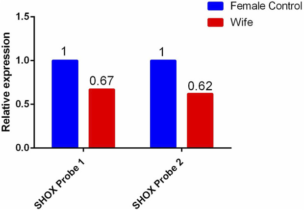 FIGURE 3