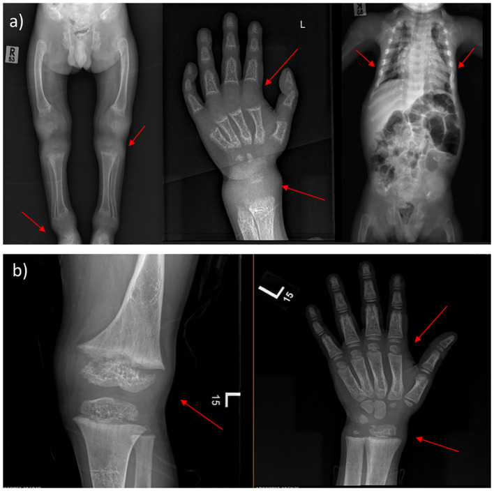 Figure 1